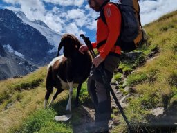 Stubai 2023